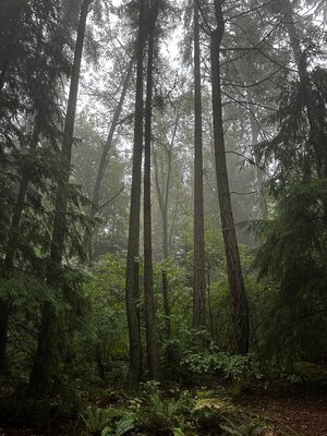 IMG_1770.JPG